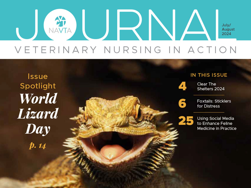 IAAO Conference & Exhibitions